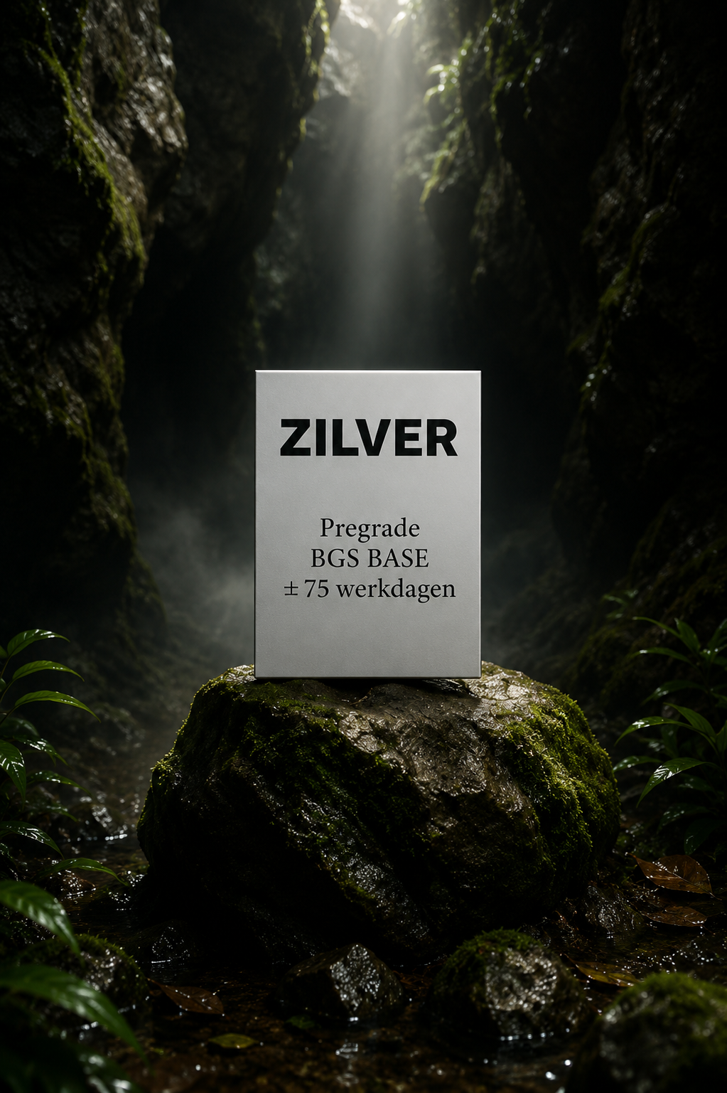 ZILVER PAKKET