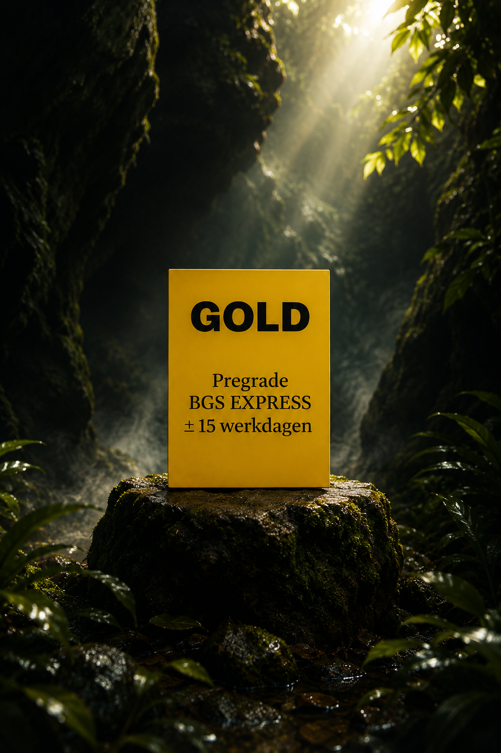 GOLD PAKKET