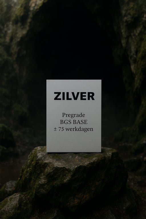 ZILVER PAKKET