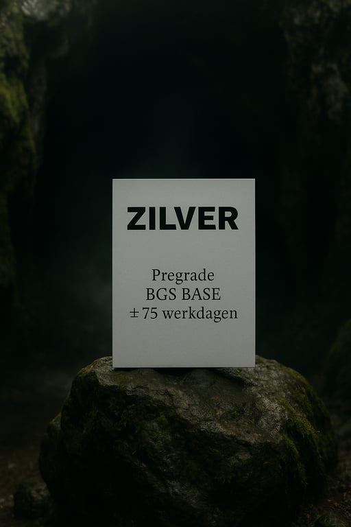 ZILVER PAKKET